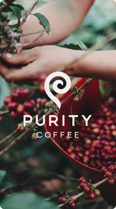 Purity Coffee