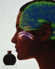 Therasage TherAroma - Portable Atomizer - Essential Oil Diffuser