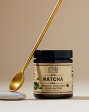 Gold spoon displayed beside Anima Mundi Matcha ceremonial grade stone-ground organic green tea powder.