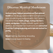Ora Cacao Mystical Mushroom Ingredients  includes reishi, chaga, turkey tail, lion's mane, cordyceps and more.