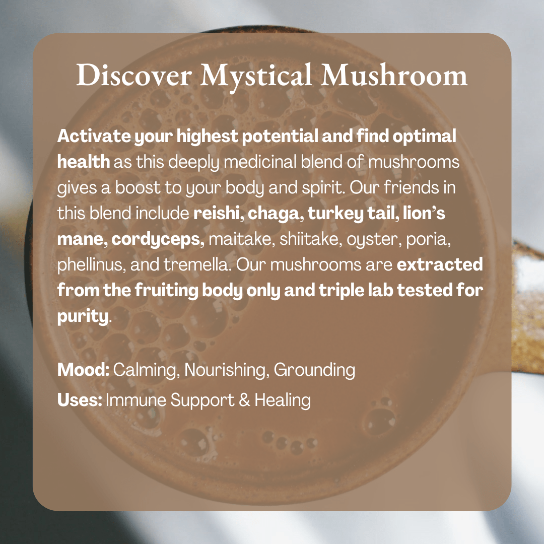 Ora Cacao Mystical Mushroom Ingredients  includes reishi, chaga, turkey tail, lion's mane, cordyceps and more.