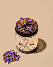 Anima Mundi BLUE LOTUS