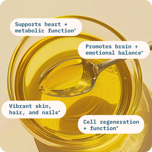 Golden essential fatty acid oil in glass jar with spoon highlighting cellular, heart, and brain support benefits