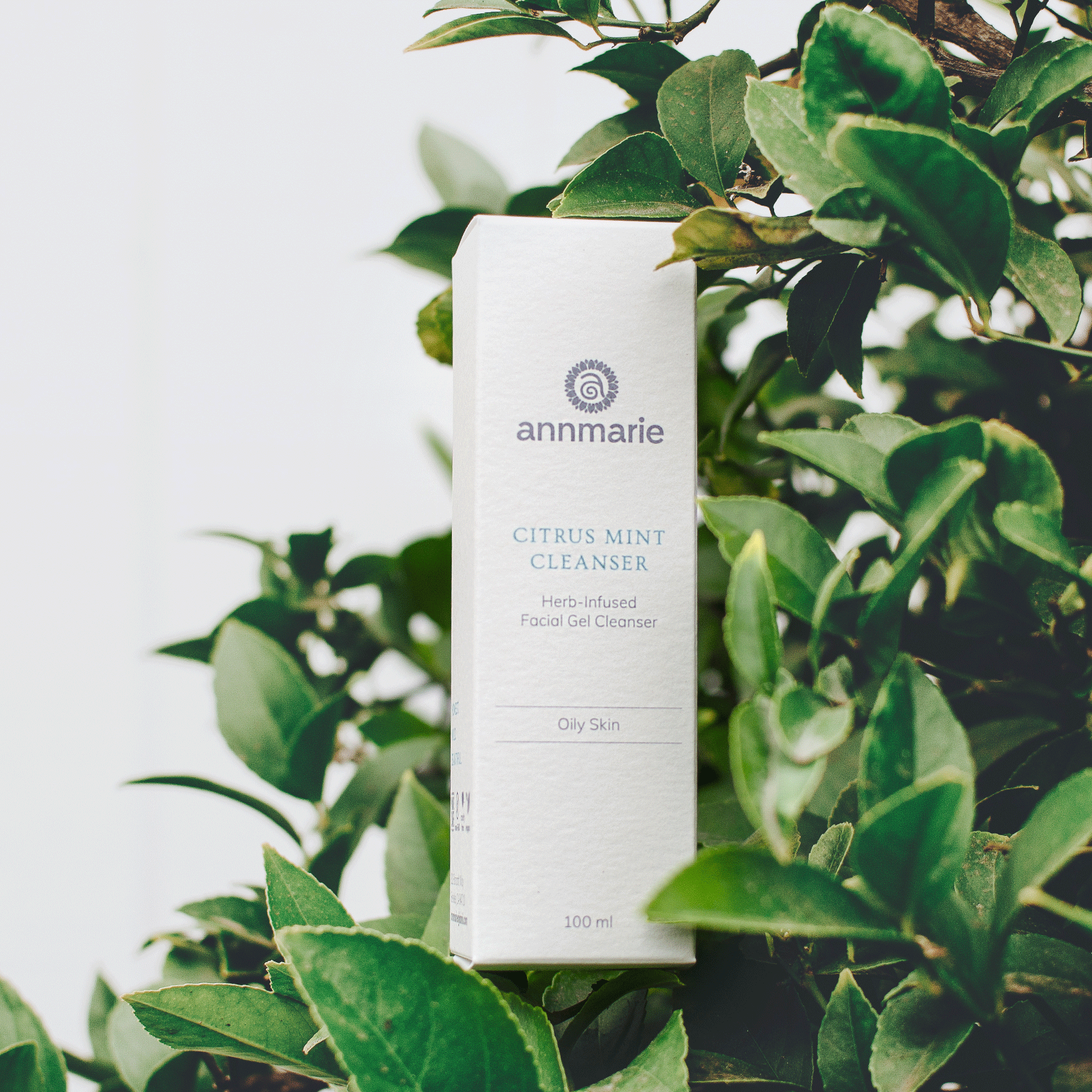 Annmarie Citrus Mint Cleanser 100ml with aloe vera, witch hazel, and botanical extracts