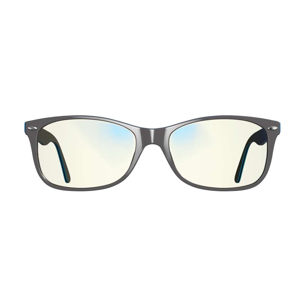 Swanwick Gunmetal and Clear  Blue Classic Day Swannies