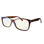 Swanwick Tortoise Classic Shell Day Swannies