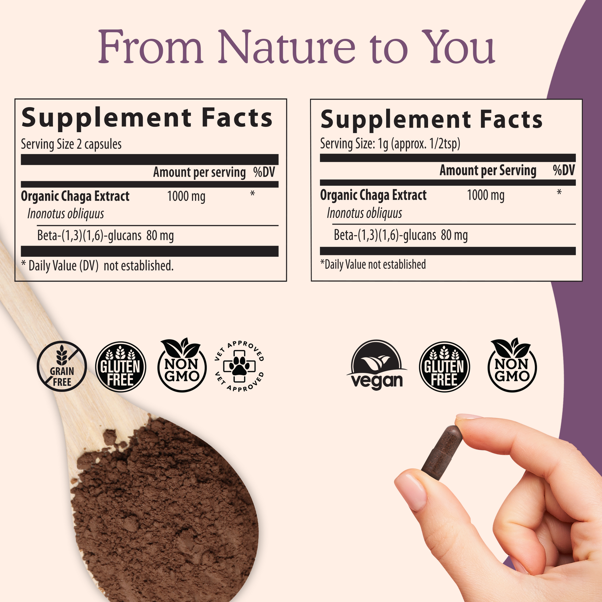 Real Mushrooms Organic Chaga Extract Capsules and Powder Supplement Facts 