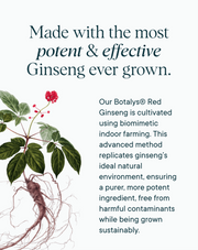 Ora Organic Stress Support - Made with the most potent and effective Ginseng ever grown