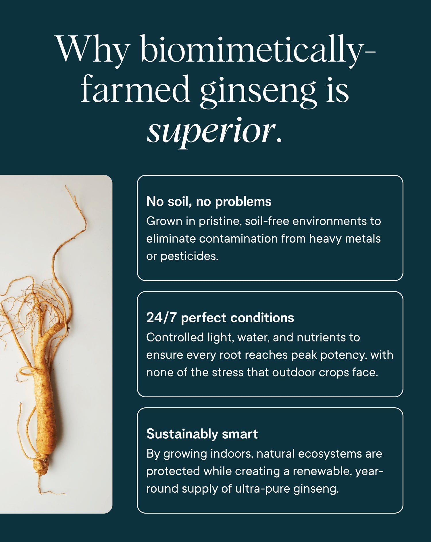 Ora Organic Stress Support - Why biomimetically-farmed ginseng is superior.