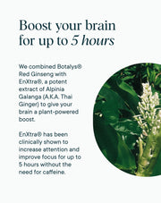 Boost your brain for up to 5 hours by Ora Organic Cognitive Support Supplement