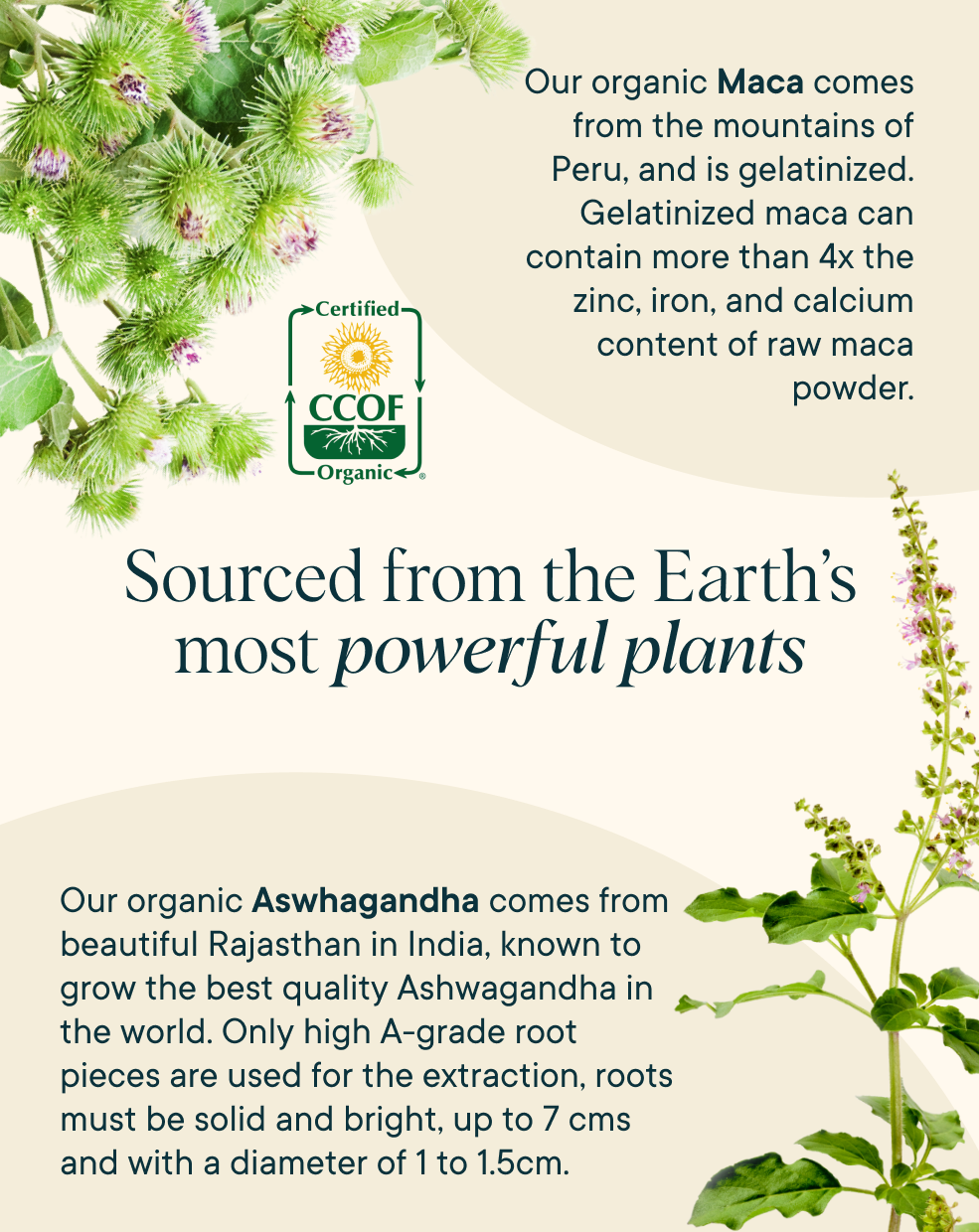 Sourced from the Earth's most Powerful plants - Ora Organic Hormonious: Hormonal Balance & Support Capsules
