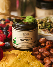 Matcha powder in a wooden spoon beside fresh berries, nuts, and Anima Mundi ceremonial grade matcha.