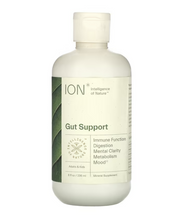 ION* Gut Support