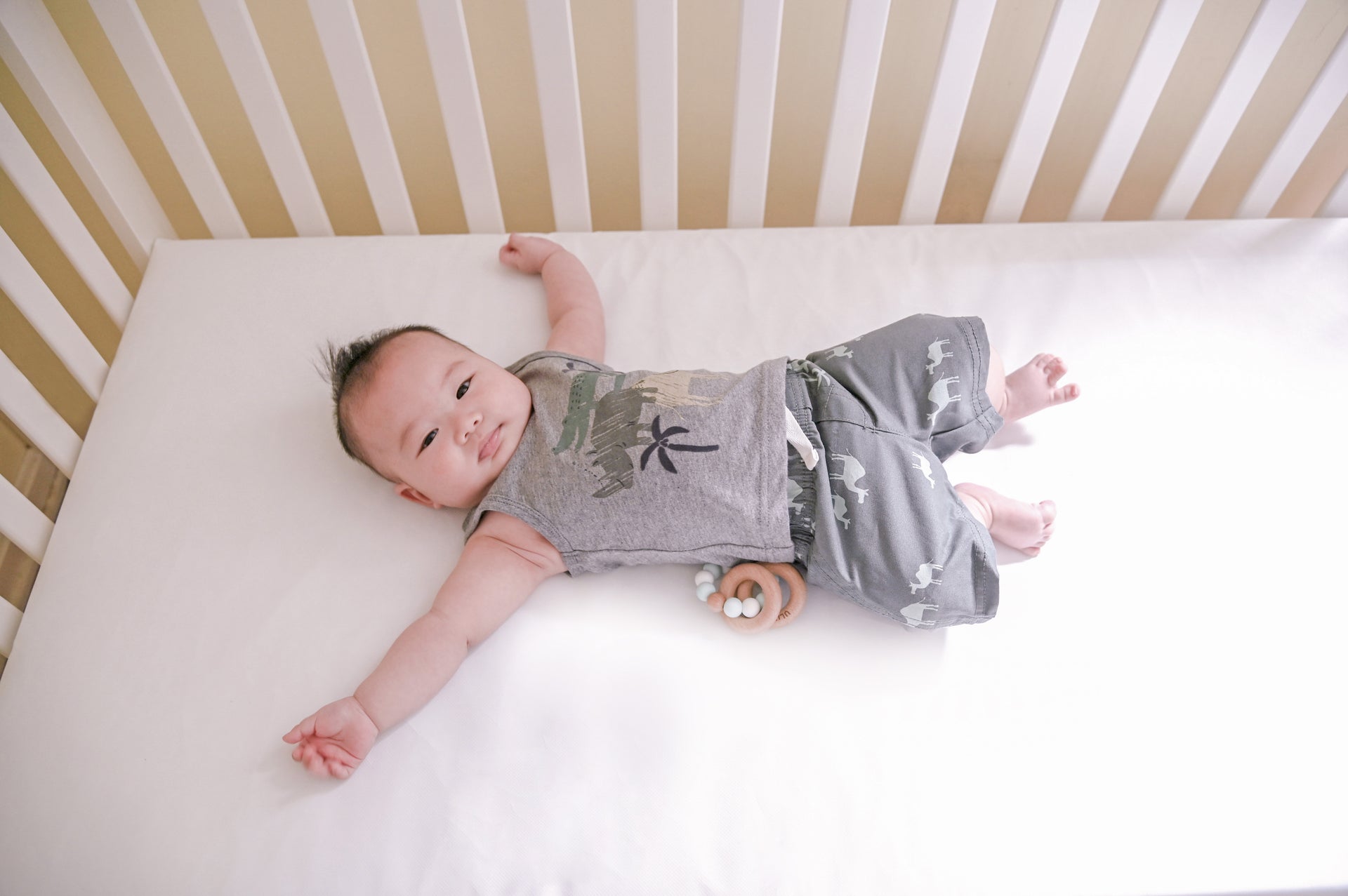 MADE SAFE Certified: Lullaby Earth Healthy Support Crib Mattress