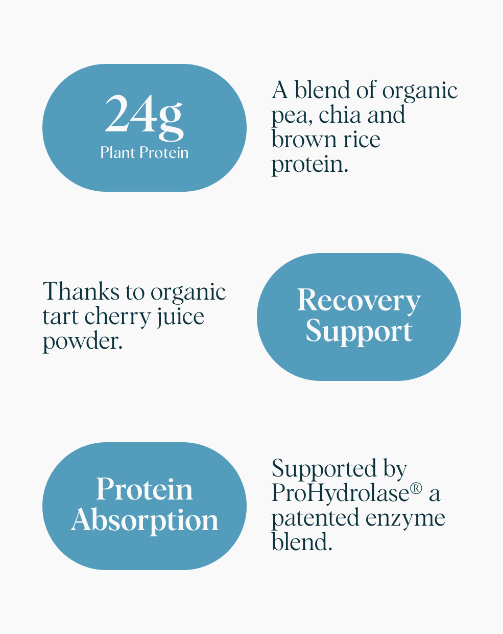 Ora Organic Plant Protein for Lifelong Strength