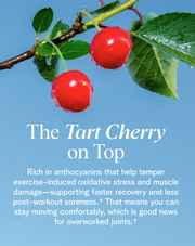 The Tart Cherry on Top - Ora Organic Plant Protein for Lifelong Strength