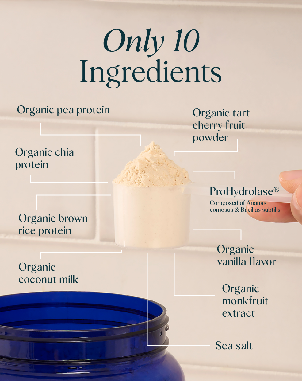 Only 10 Ingredients of Ora Organic Plant Protein for Lifelong Strength