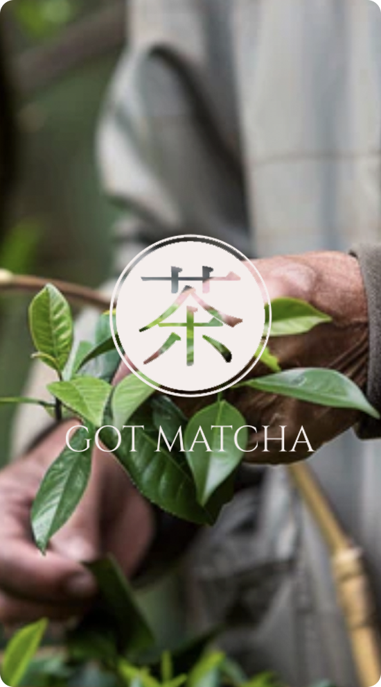 Got Matcha