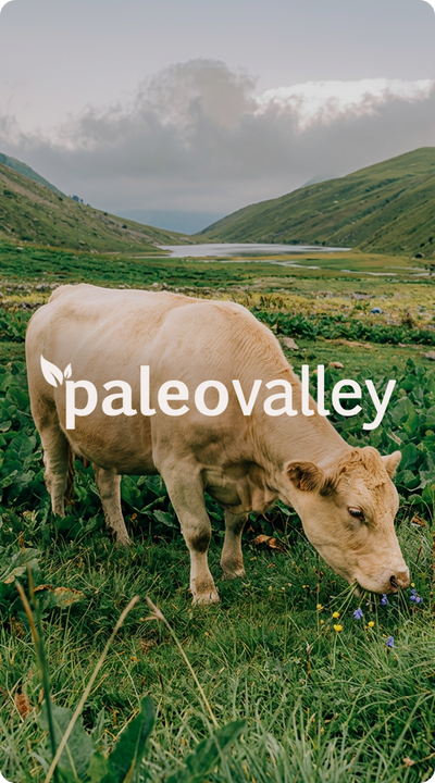 Paleo Valley