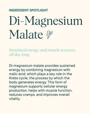 Ingredient spotlight of Ora Organic 4-in-1 Magnesium Powder