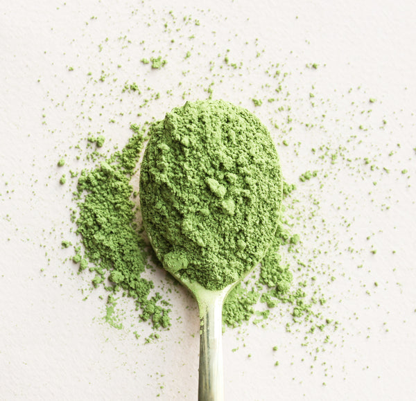 Got Matcha – Matchaga Crunch Energy Bar - Scoop