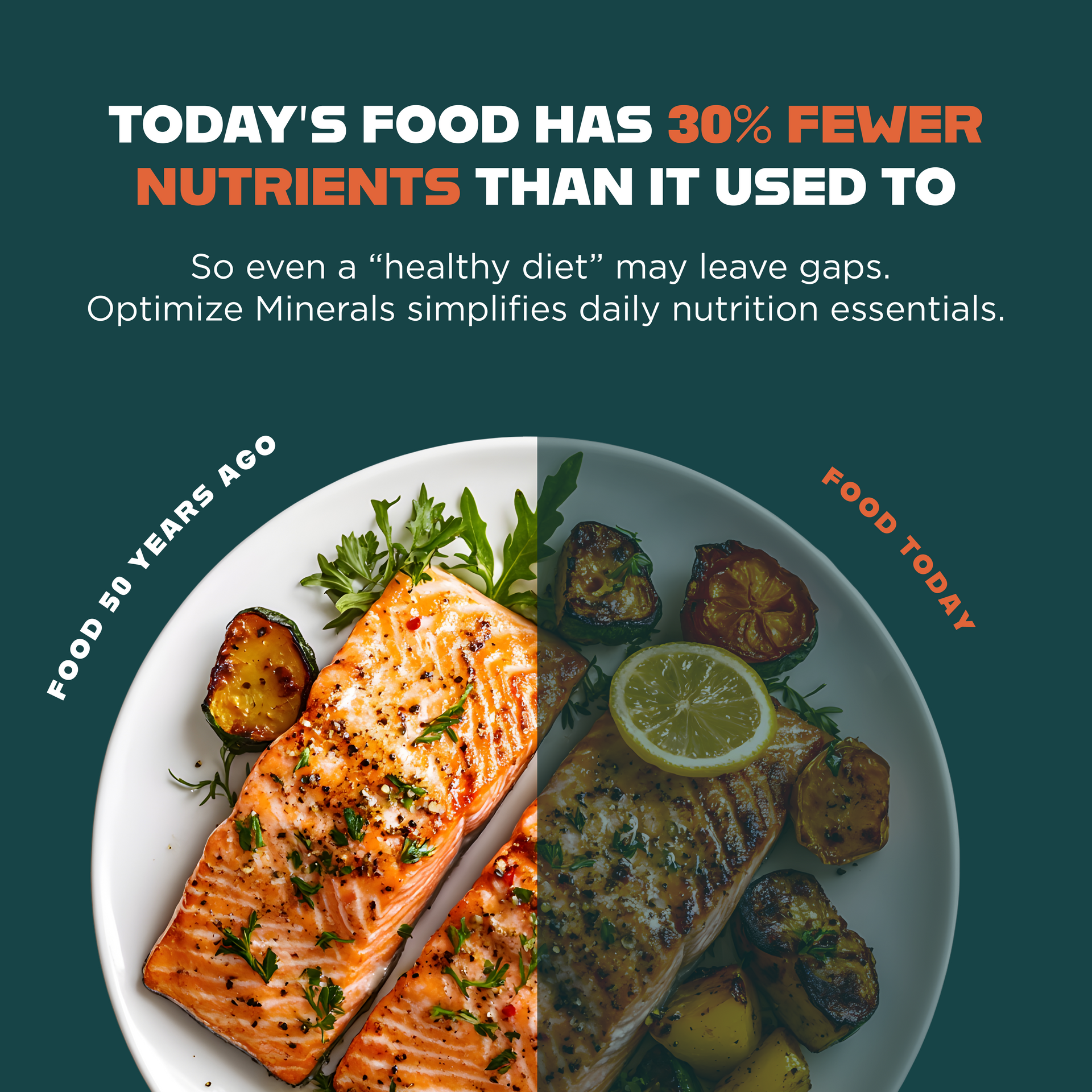 Optimize Minerals Food Education