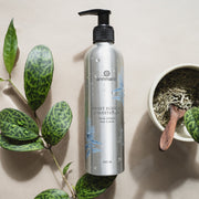 Sweet Sunrise Conditioner bottle surrounded by green leaves and botanical ingredients