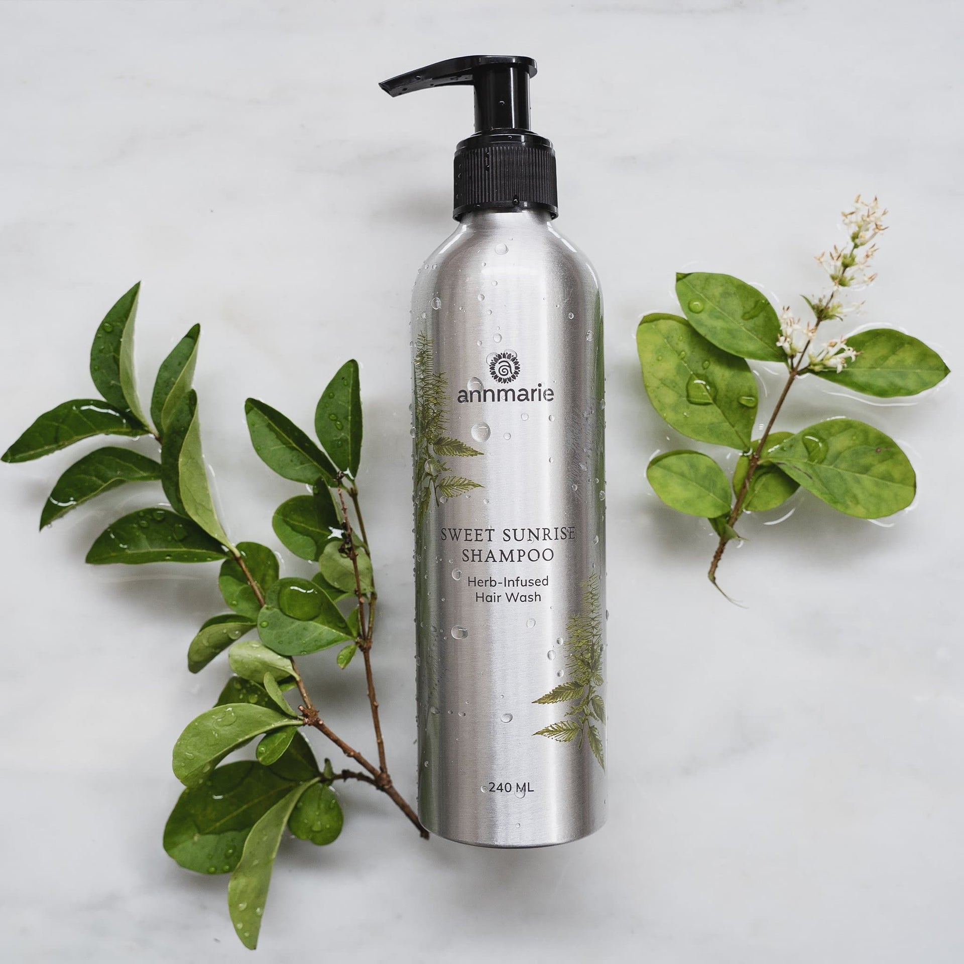 Sweet Sunrise Shampoo bottle surrounded by fresh green botanicals