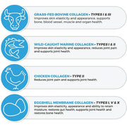 Collagen source graphic showing bovine, marine, chicken, and eggshell membrane collagen