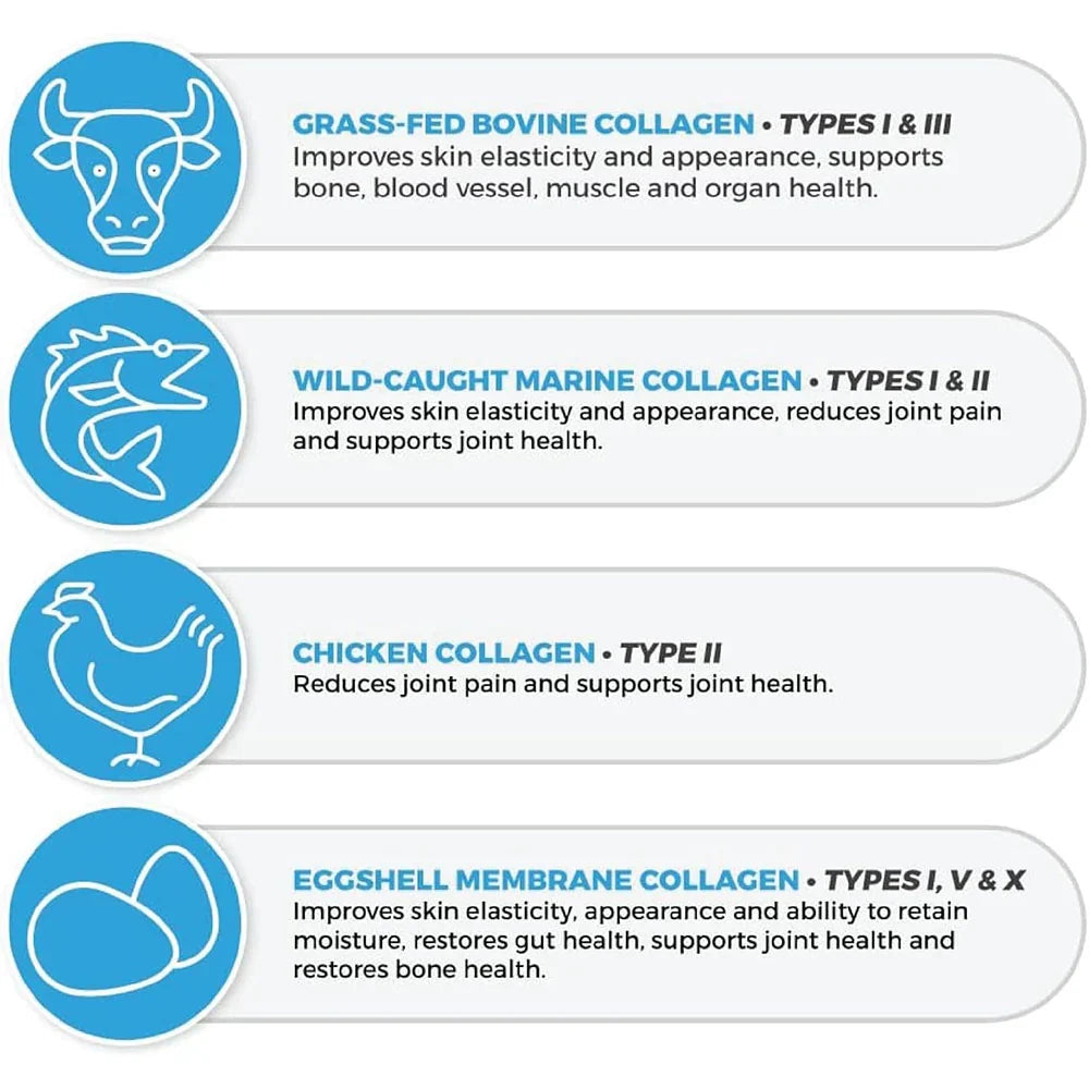 Collagen source graphic showing bovine, marine, chicken, and eggshell membrane collagen