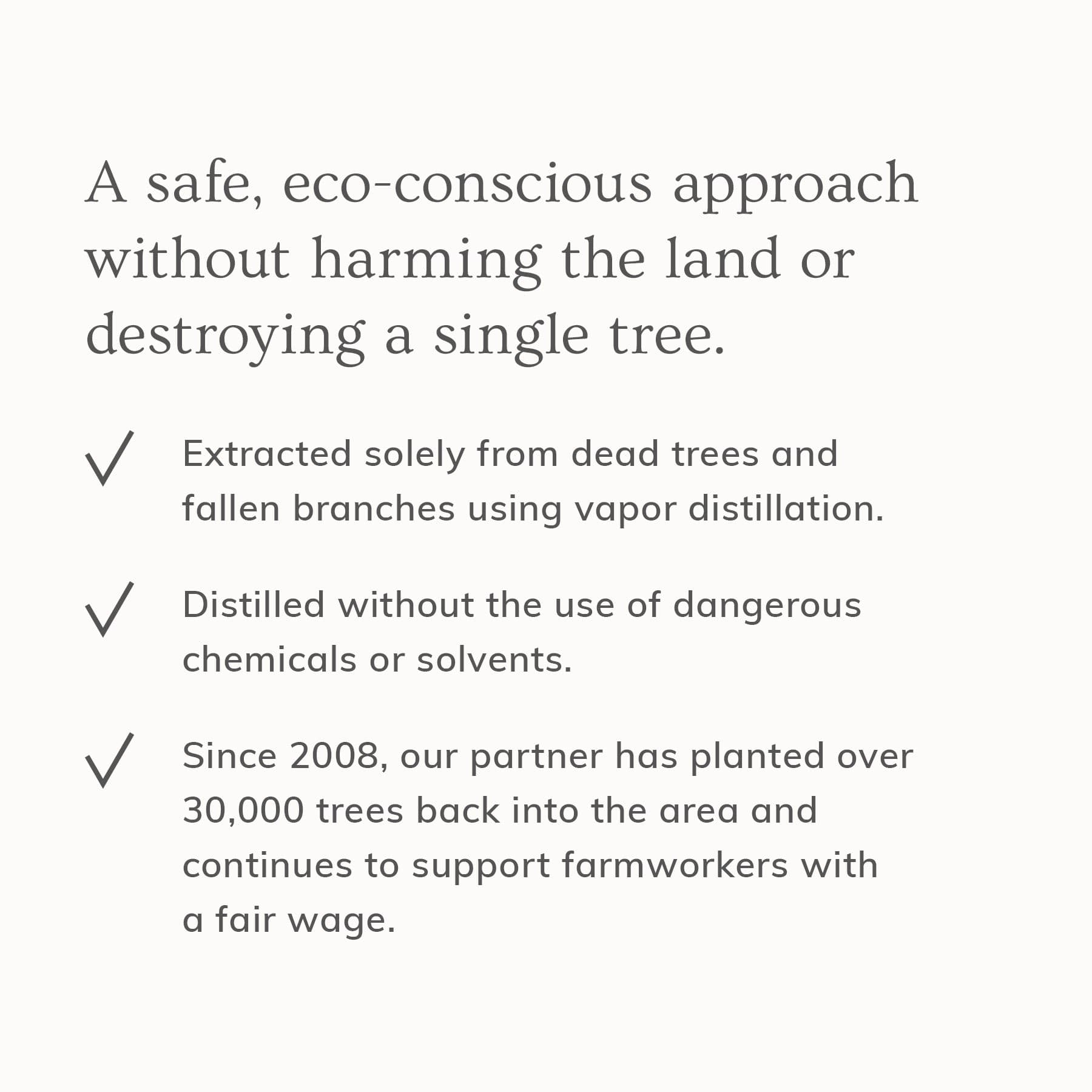 Hand holding Annmarie Palo Santo Hair & Body Mist among tropical foliage
