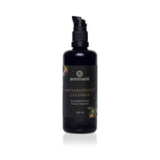 Annmarie Phytonutrient Cleanser hydrating cream facial cleanser
