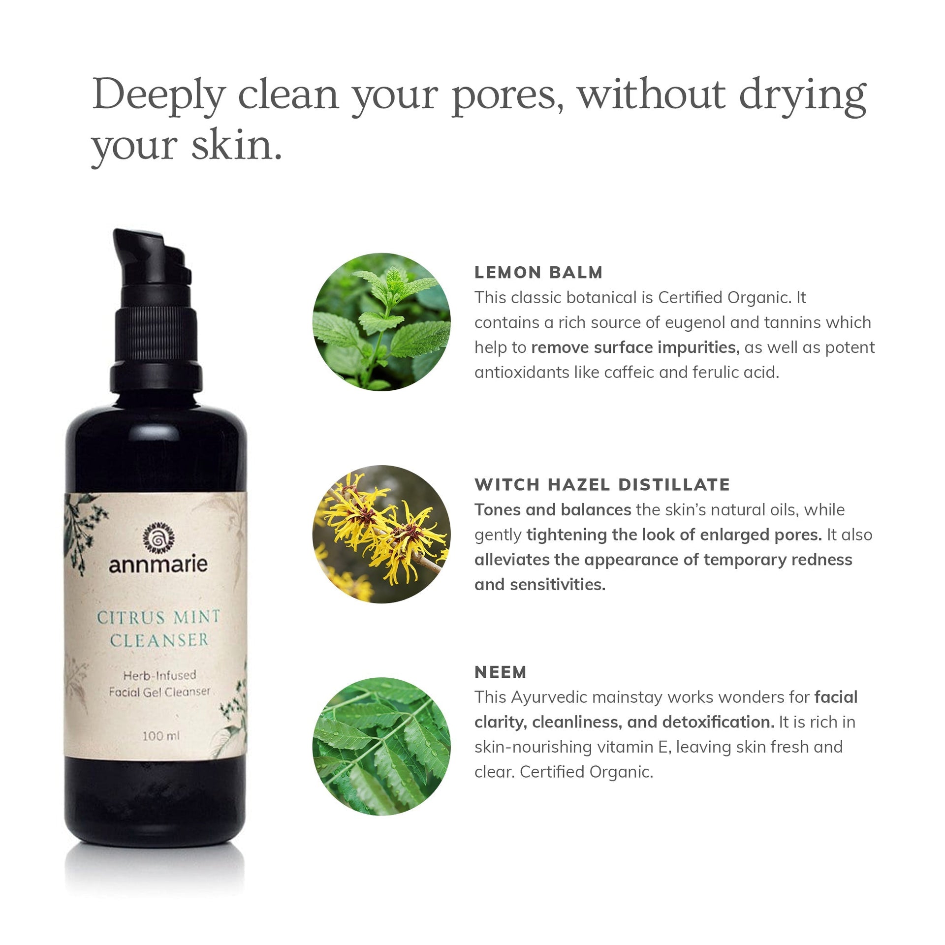 Annmarie Citrus Mint Cleanser featuring aloe vera, witch hazel, citrus botanicals, and herbal extracts
