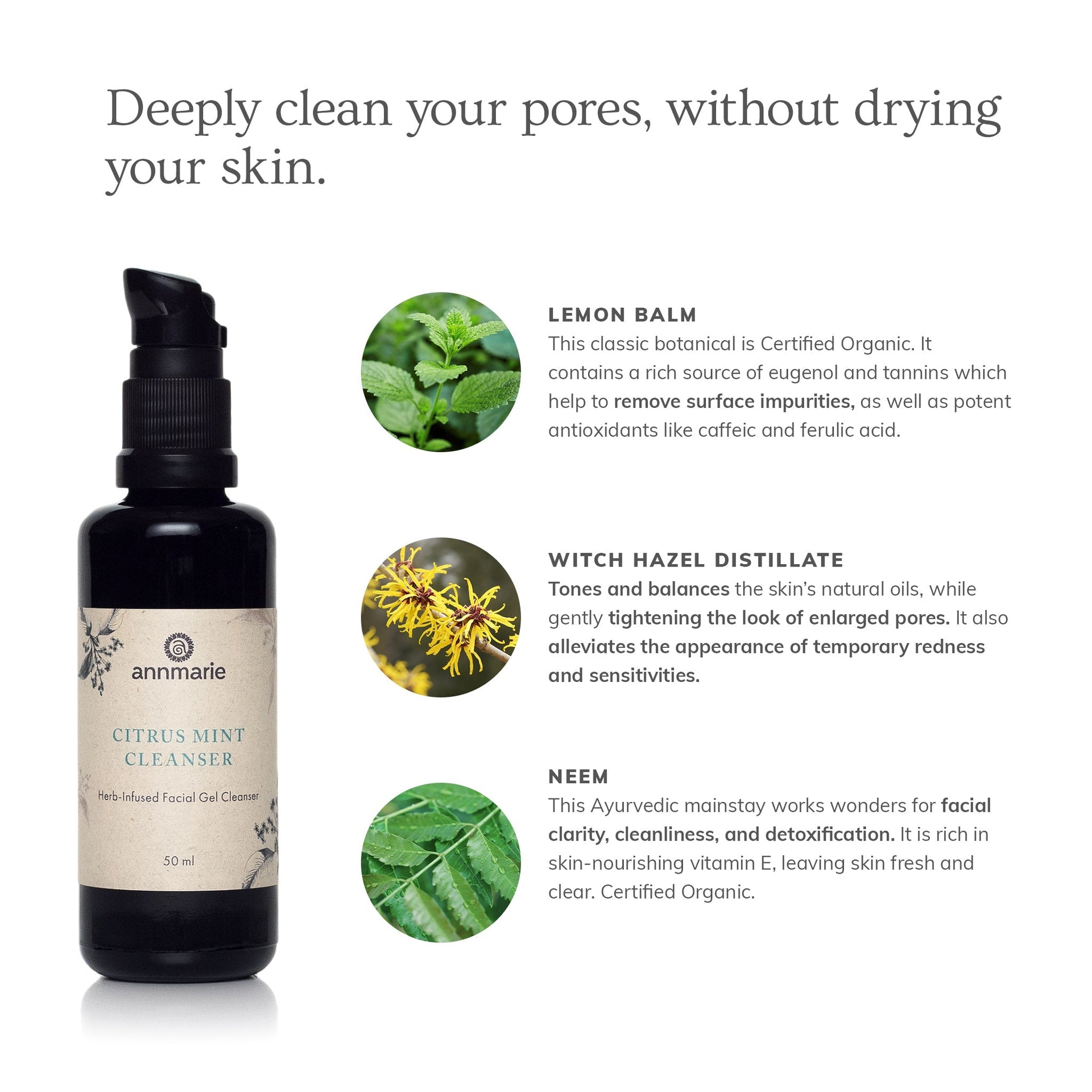Annmarie Citrus Mint Cleanser featuring aloe vera, witch hazel, citrus botanicals, and herbal extracts