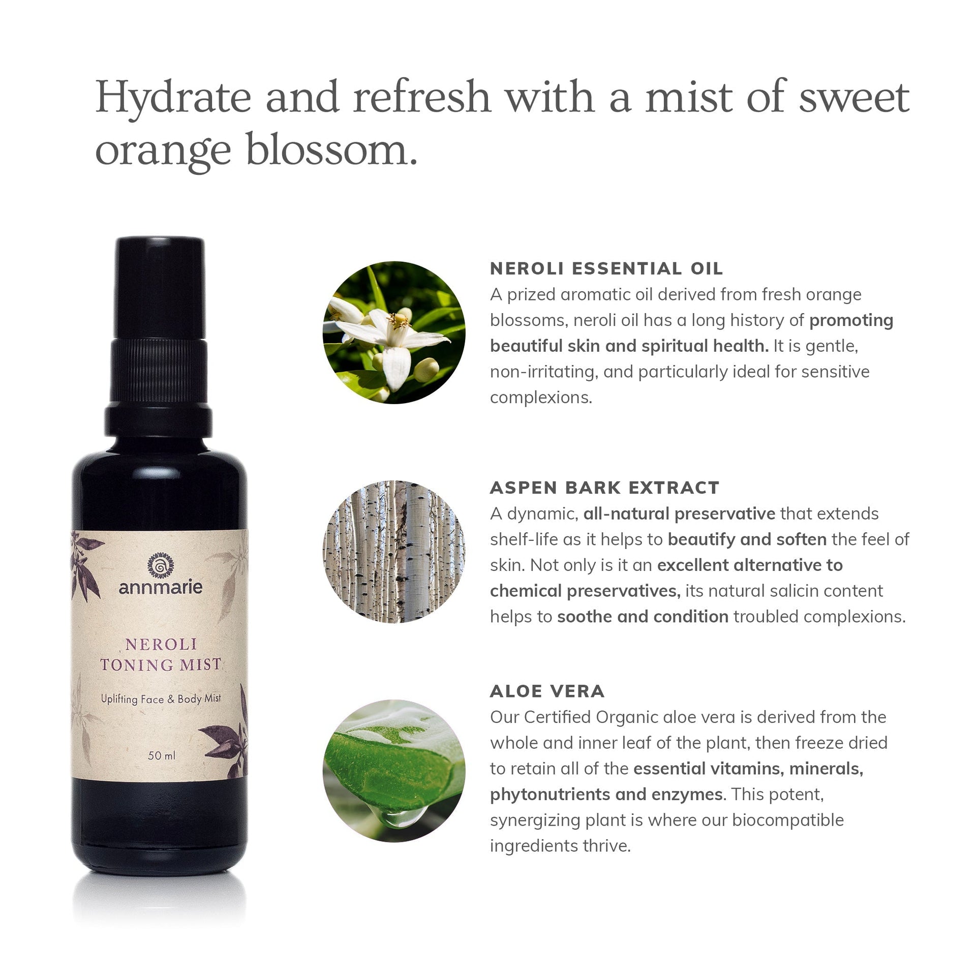 Annmarie Neroli Toning Mist ingredients and botanical skincare benefits infographic
