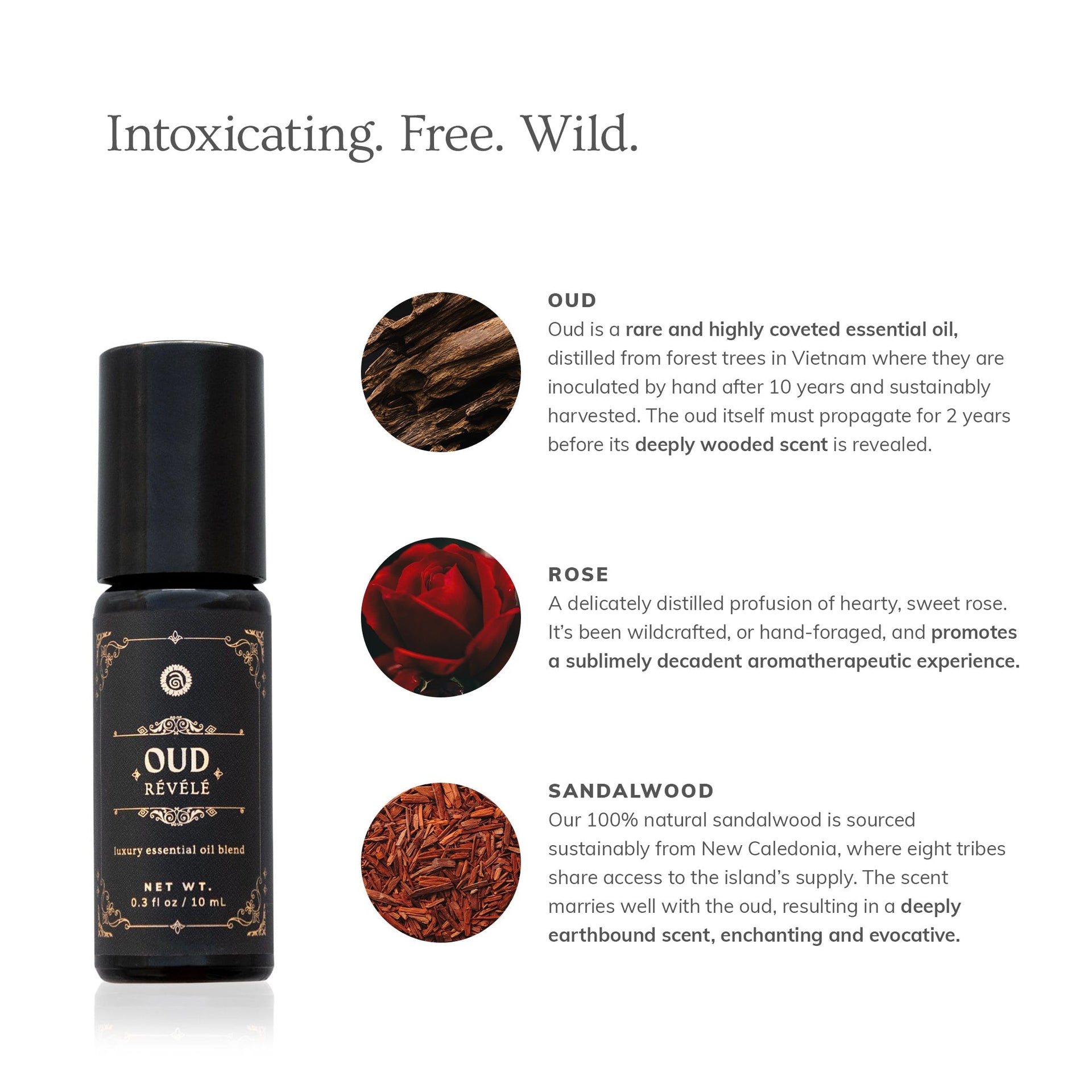 Annmarie Oud Révélé natural perfume ingredients featuring oud, rose, jasmine, and sandalwood