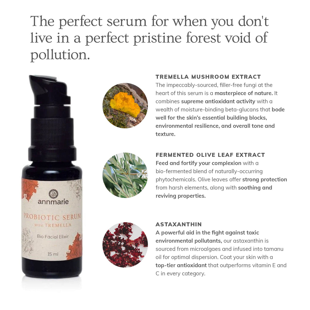 Annmarie Probiotic Serum With Tremella featuring probiotics, tremella mushroom, olive leaf extract, and astaxanthin