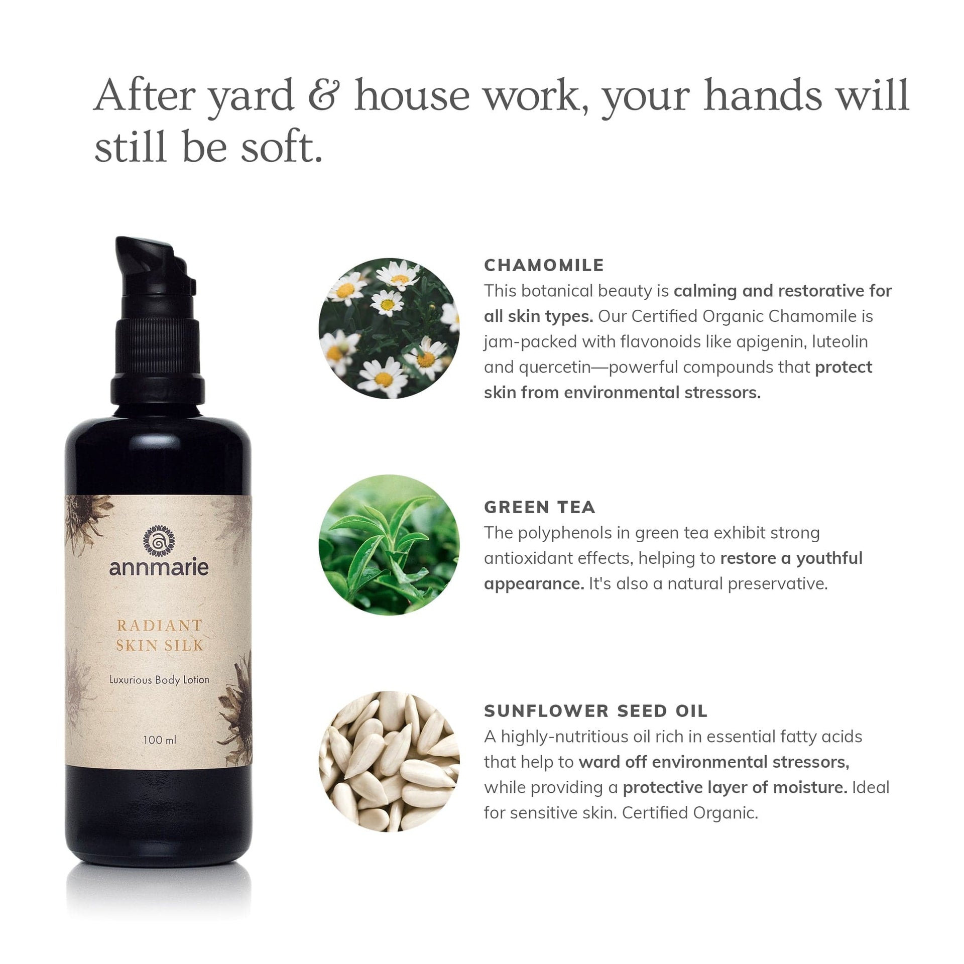 Annmarie Radiant Skin Silk Body Lotion featuring aloe vera, sunflower seed oil, and botanical ingredients