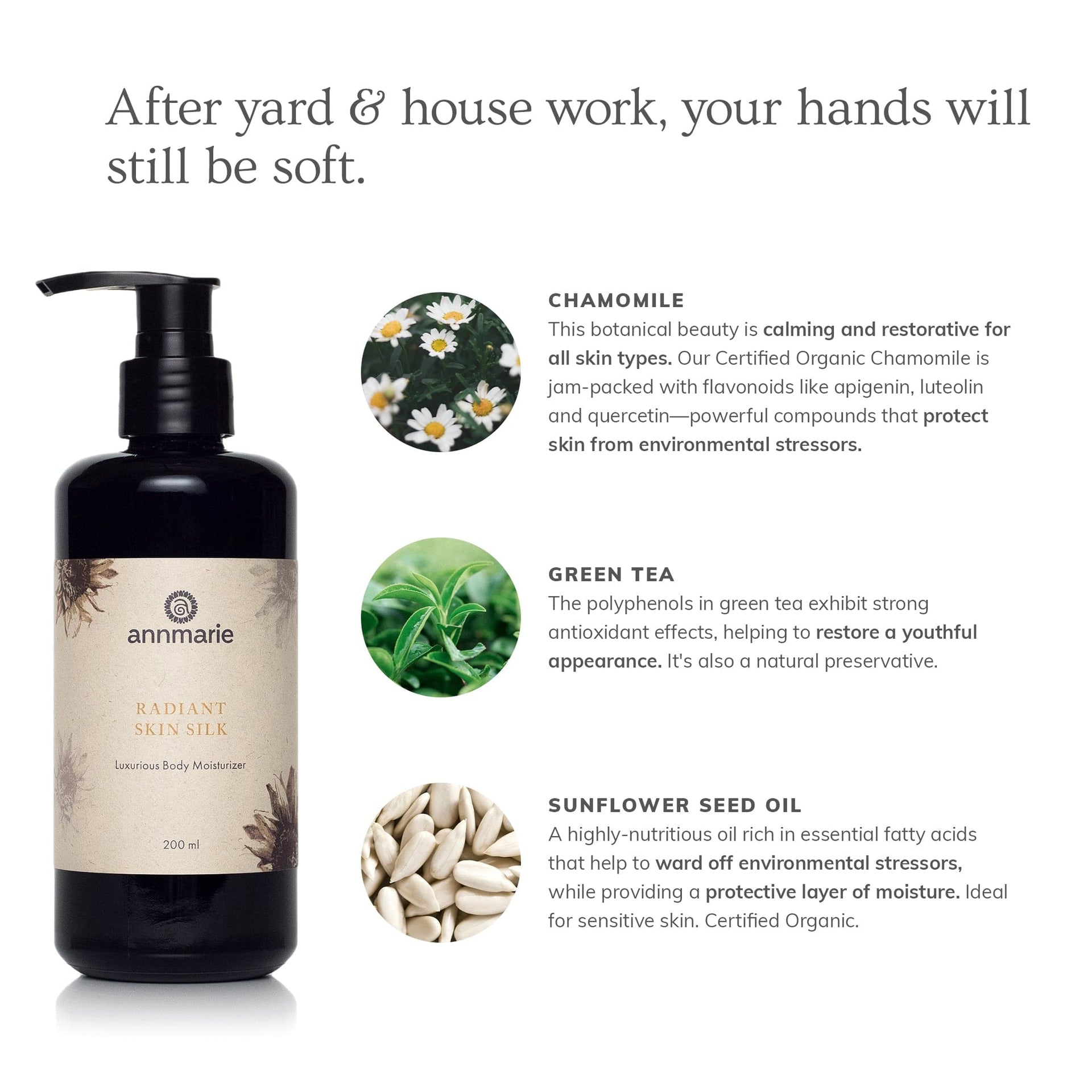 Annmarie Radiant Skin Silk Body Lotion featuring aloe vera, sunflower seed oil, and nourishing botanical ingredients