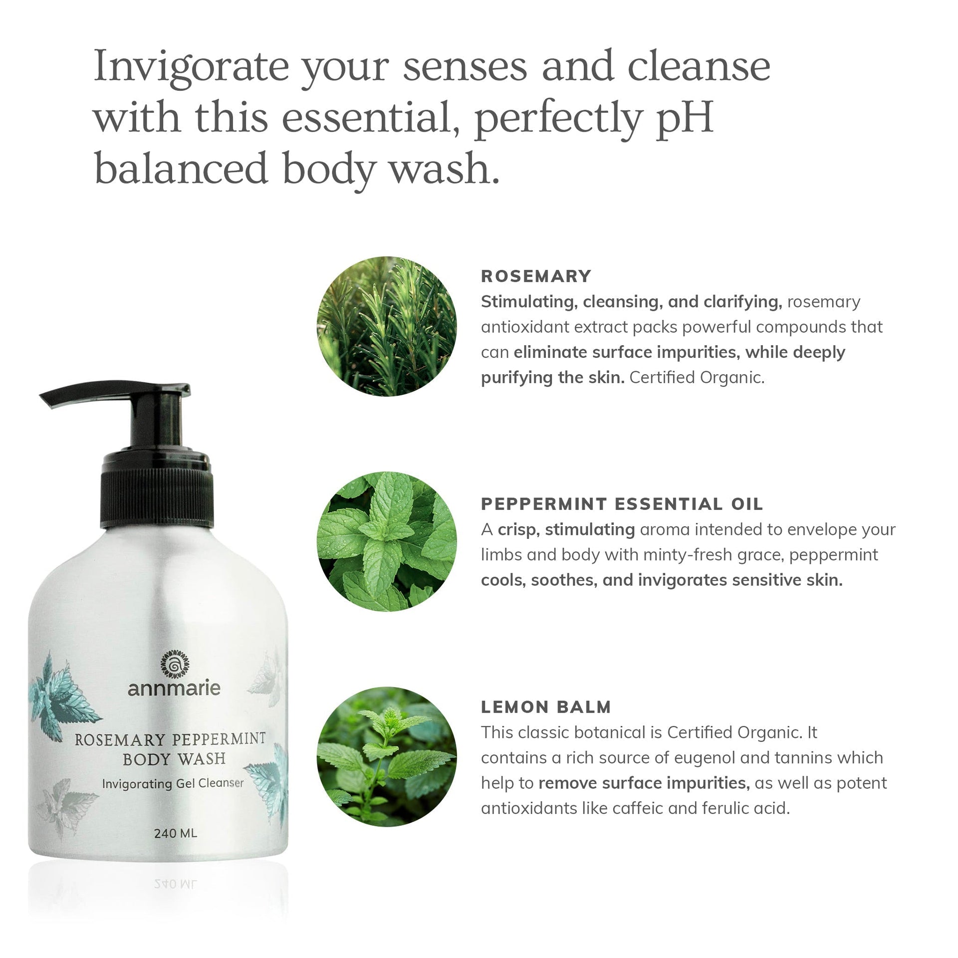 Annmarie Rosemary Peppermint Hand & Body Wash featuring aloe vera, rosemary, and peppermint essential oil