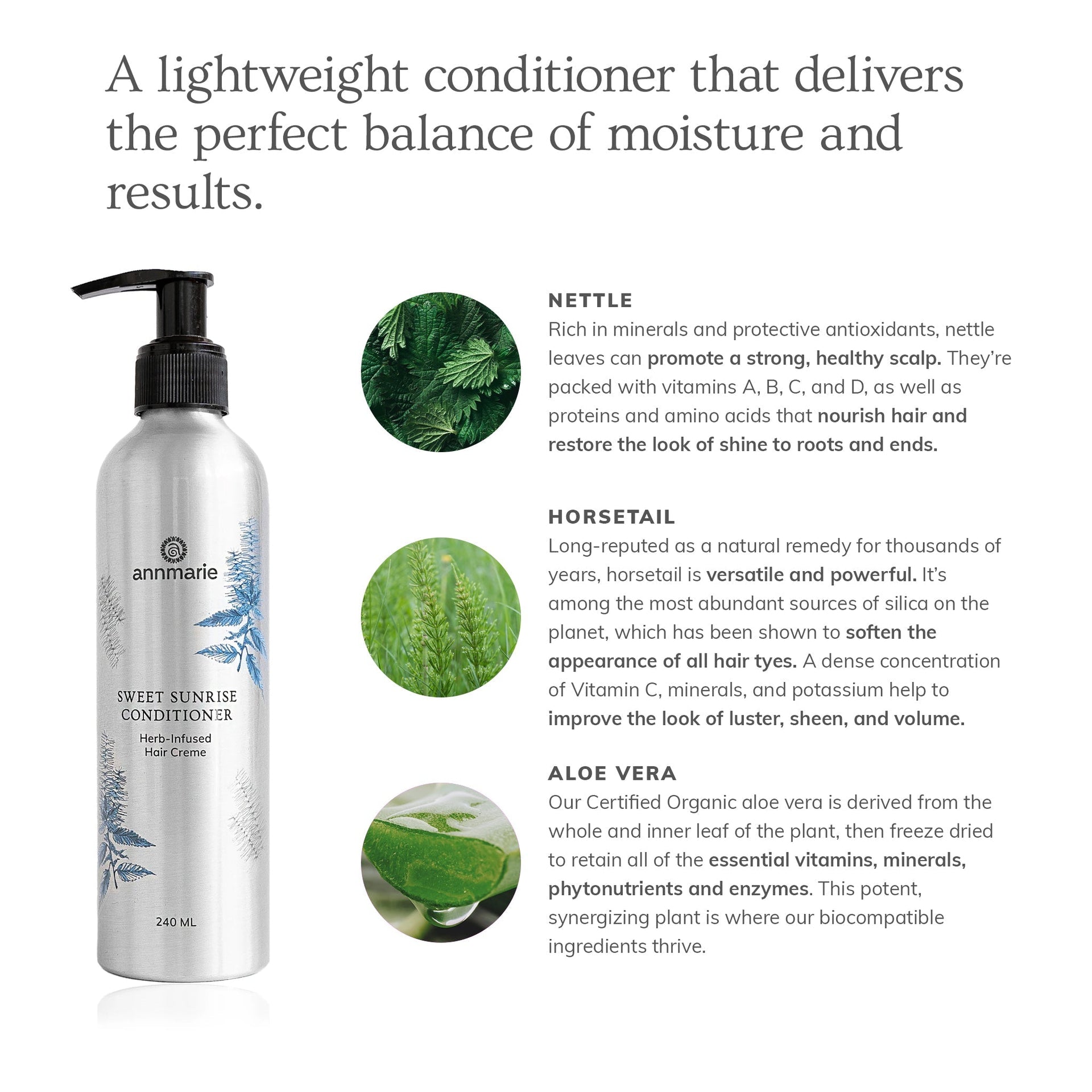 Annmarie Sweet Sunrise Conditioner featuring horsetail, nettle, and antioxidant-rich botanical extracts