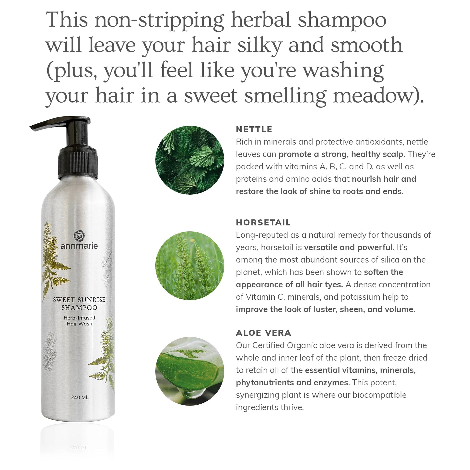 Annmarie Sweet Sunrise Shampoo featuring aloe vera, nettle, horsetail, and botanical essential oils