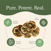 Turkey Tail Mushroom Capsules is for immune support and cognitive support