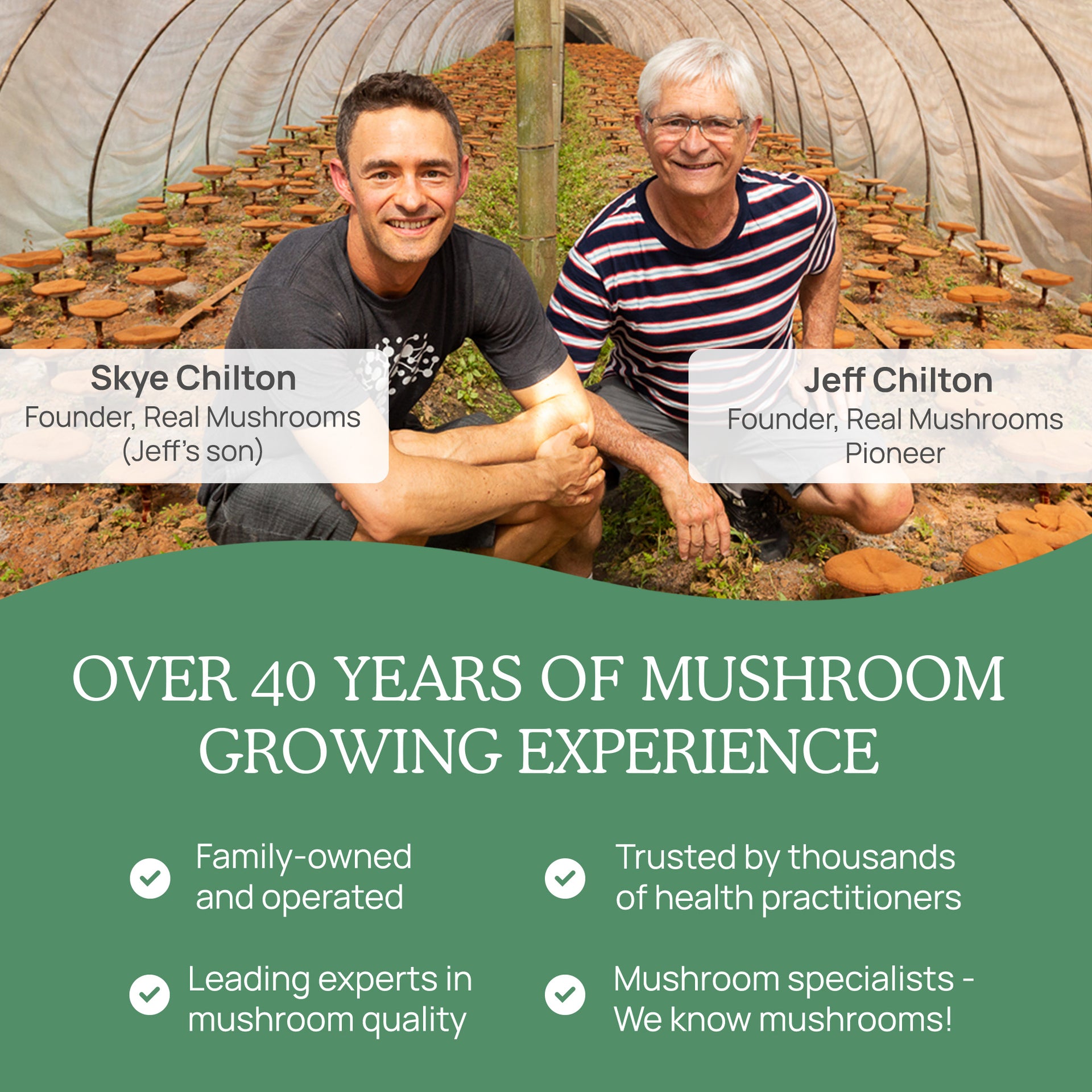 Real Mushrooms History of Mushroom Growing Experience 