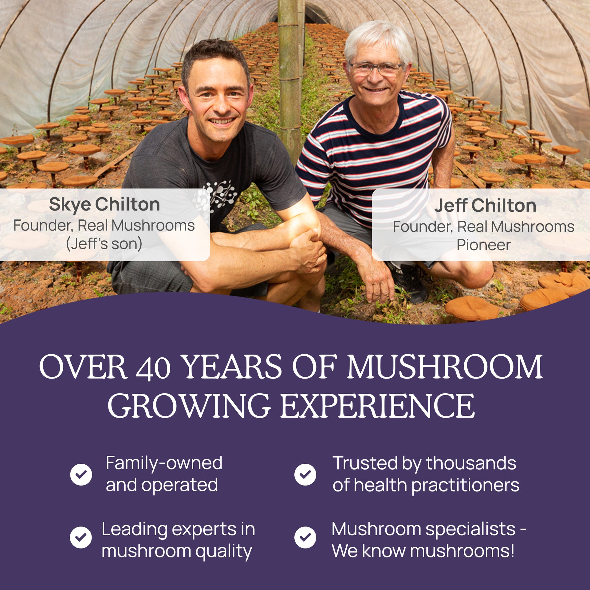 Real Mushrooms History of Mushroom Growing Experience