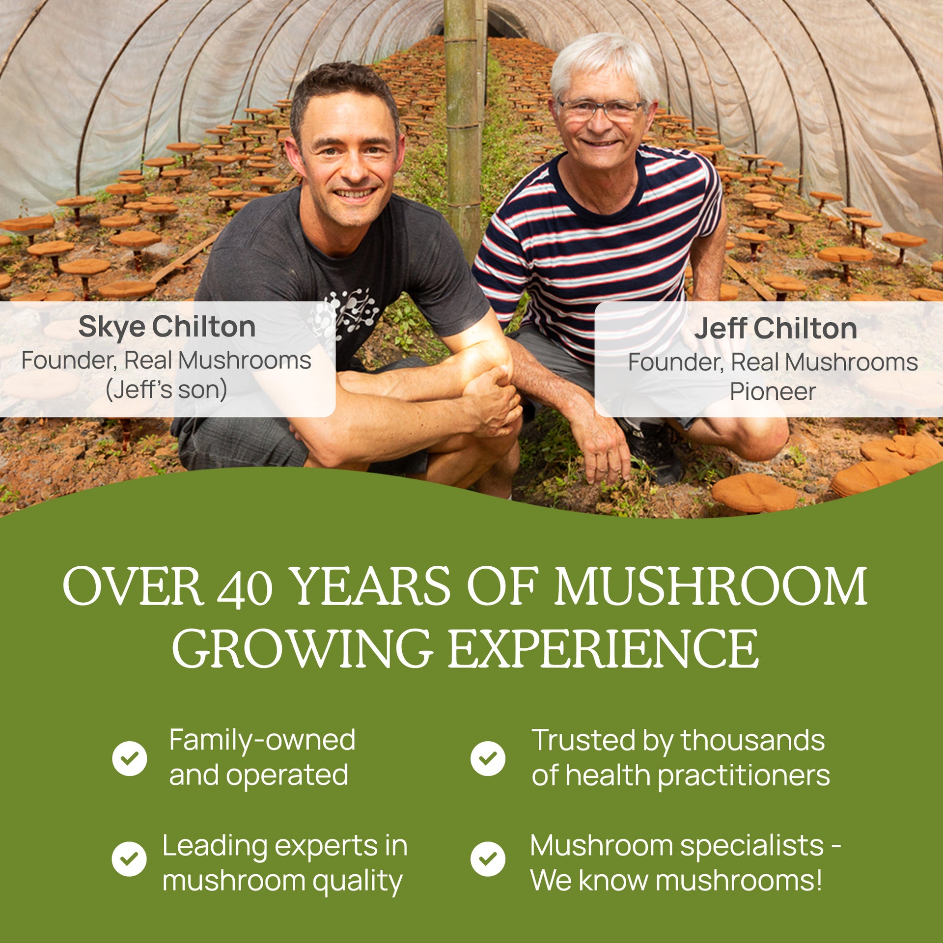 Real Mushrooms History of Mushroom Growing Experience 