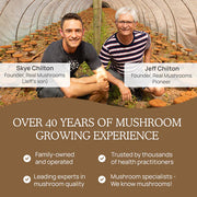 Foundations+ Vitality Bundle - Long time Growing Experience - Organic Lion’s Mane Extract Capsules