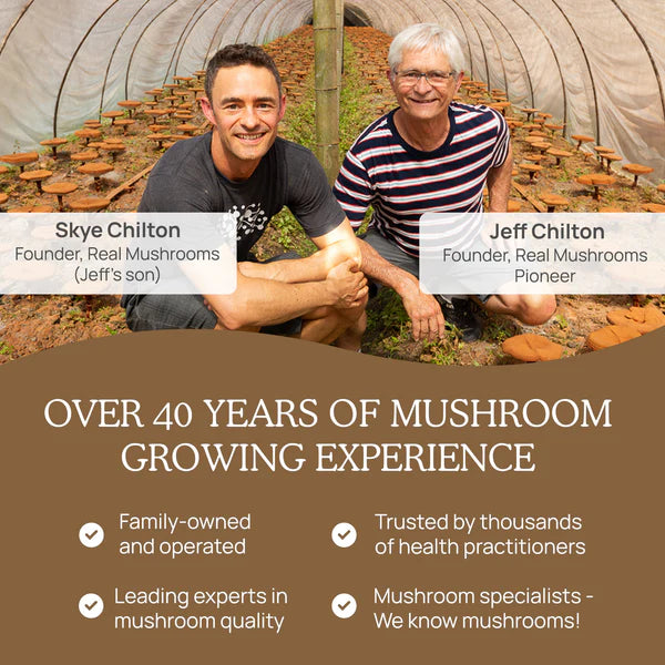 Foundations+ Vitality Bundle - Long time Growing Experience - Organic Lion’s Mane Extract Capsules