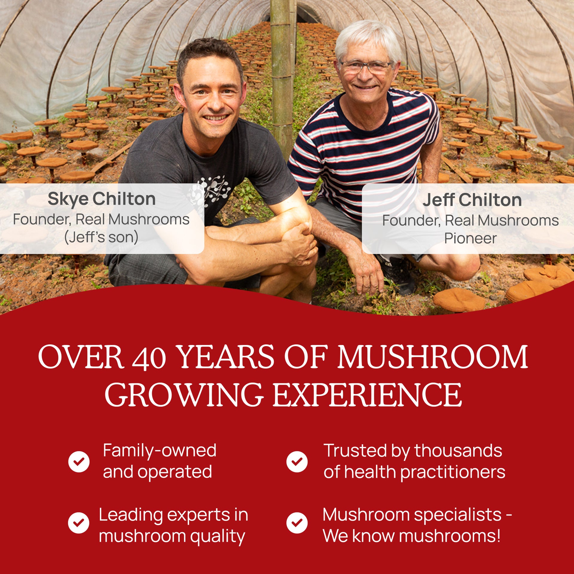 REAL MUSHROOMS history of mushroom growing experience 