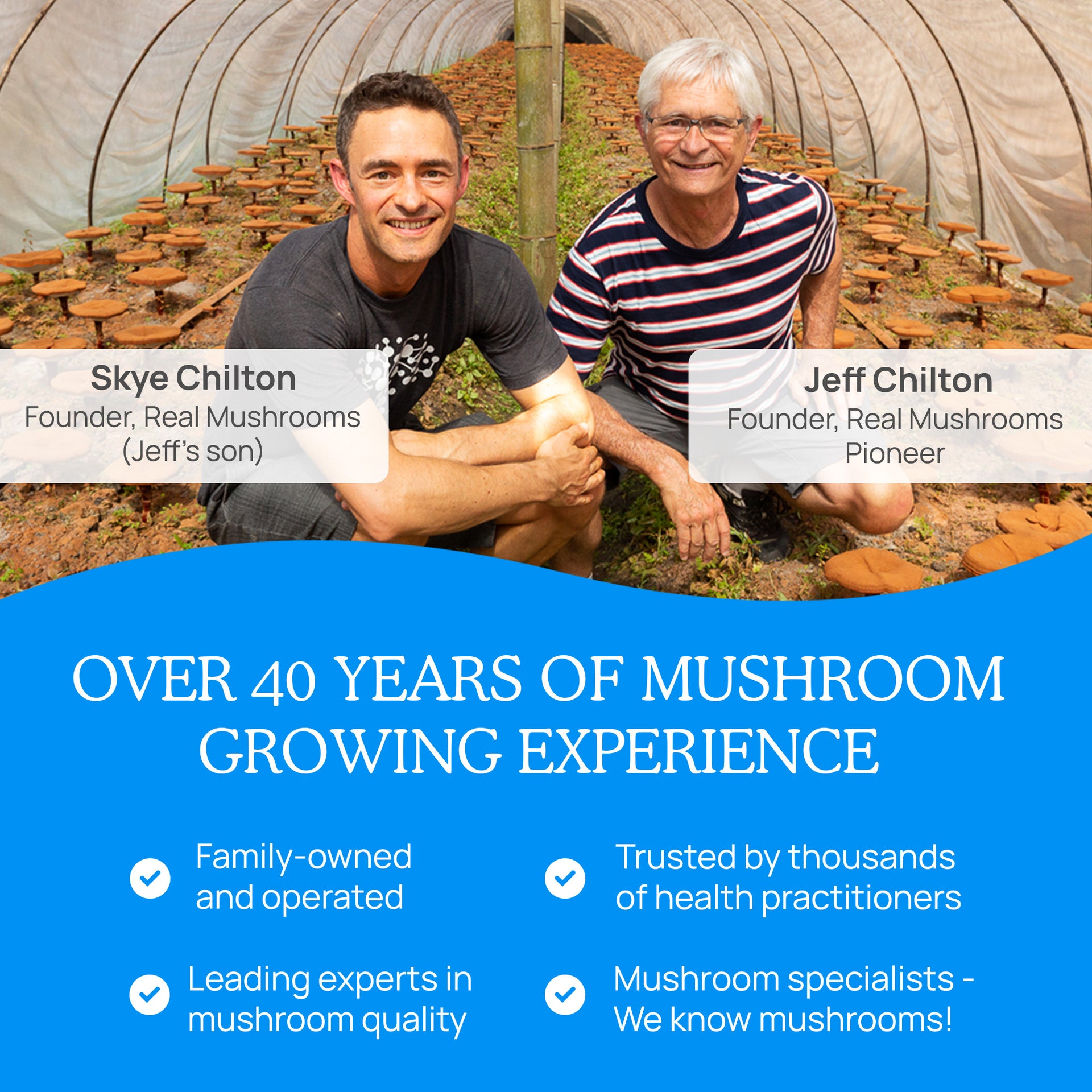 REAL MUSHROOMS history of mushroom growing experience 